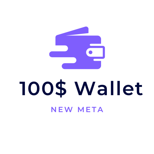 Steam 100$ wallet