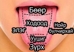 Хэл цэвэрлэгч