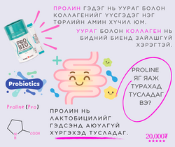 Probio ашигтай бактери (probiotic)
