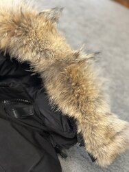 Canada goose эмэгтэй куртка