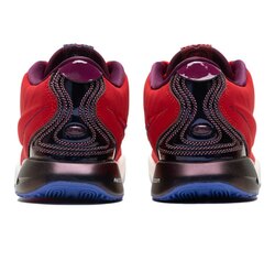💯 original lebron xxi 