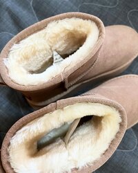 Бойтог