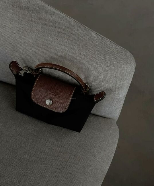 Longchamp pouch bag