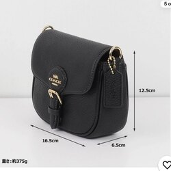 Coach mini crossbody