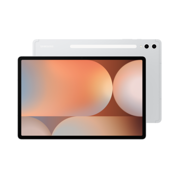 Galaxy Tab S10+ /256GB/