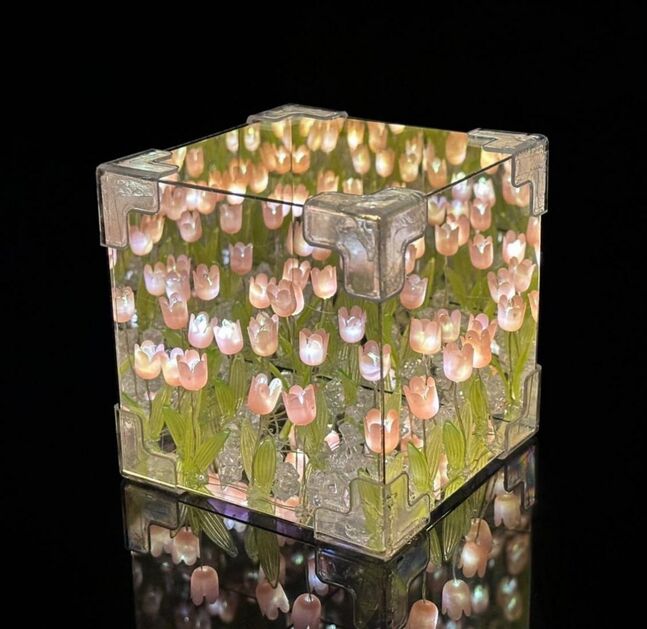 Tulip 🌷 graftlight