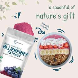 Blueberry powder