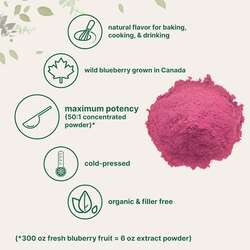Blueberry powder