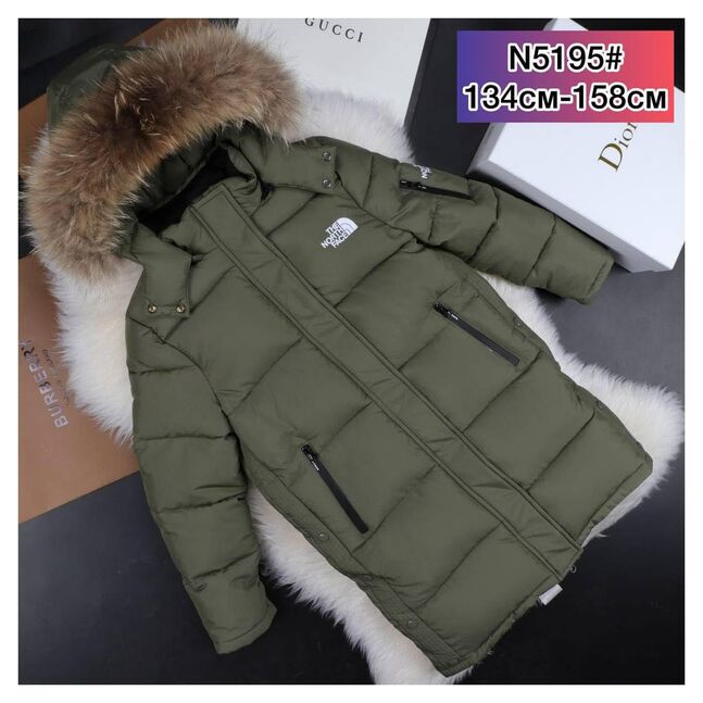 The north face