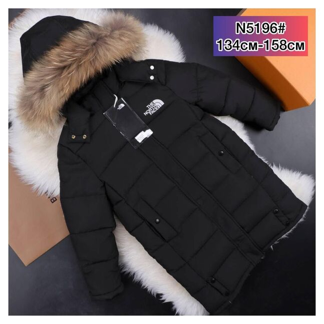 The north face