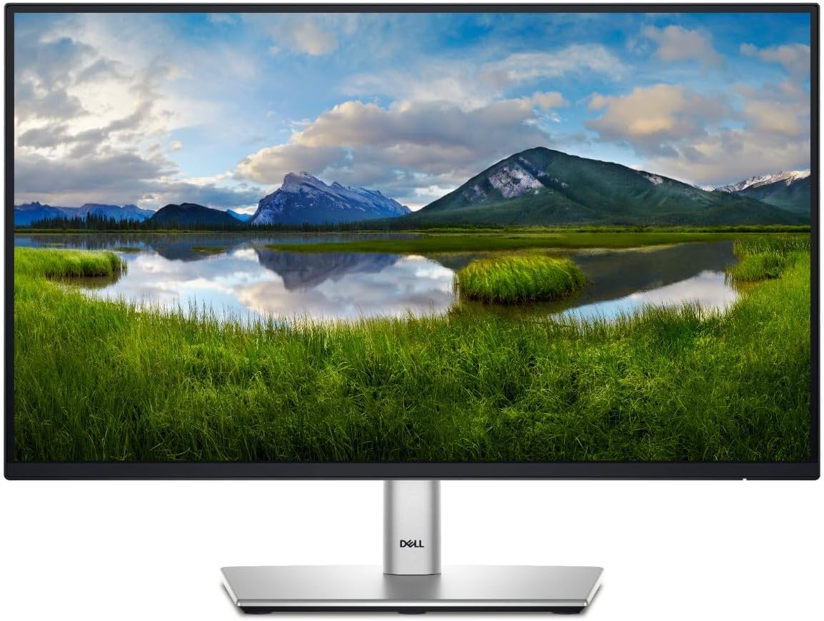 Dell 24 Monitor - P2425H