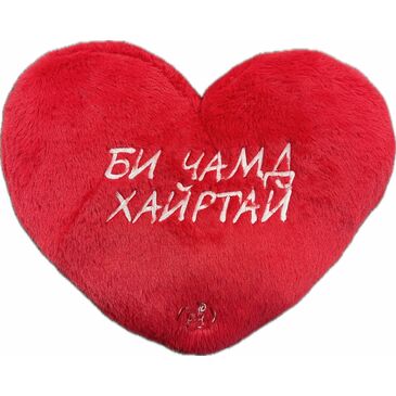 БИ ЧАМД ХАЙРТАЙ ЗӨӨЛӨН ТОГЛООМ