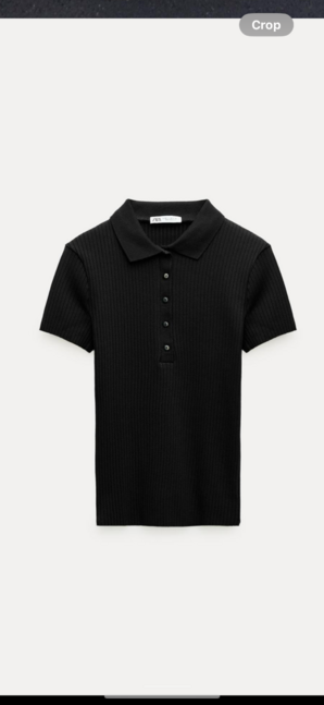 Zara polo s