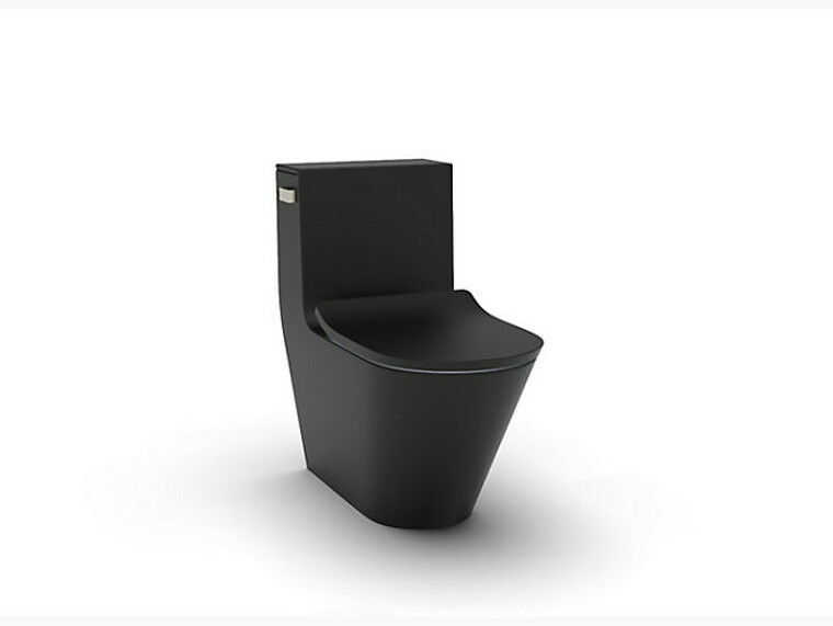 BRAZN® 1PC TOILET 305 HONED BLACK(EXQ)