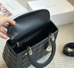 Dior bag