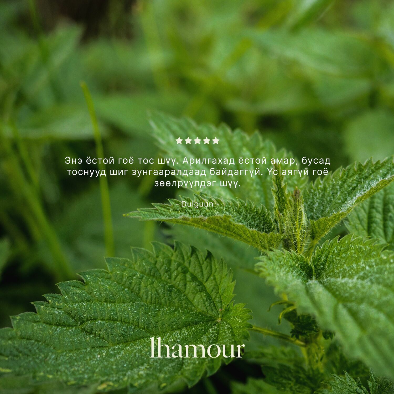 Үсний тэжээлийн тос