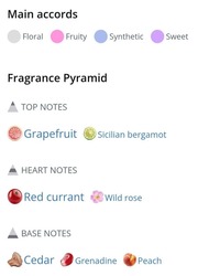 Real time love you 100мл 🇨🇵 