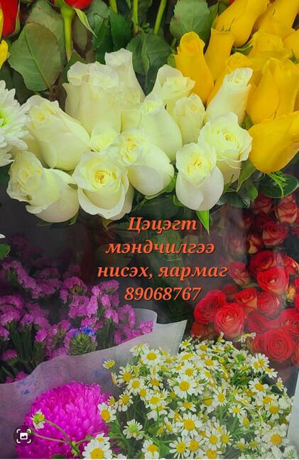 Bvh turliin tsetseg 