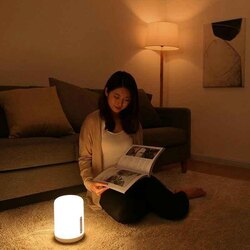 Xiaomi led gerel 