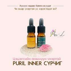 Puril inner cүрчиг