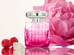 Jimmy choo blossom