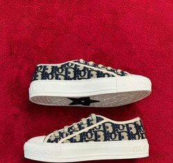 Walk n dior sneakers