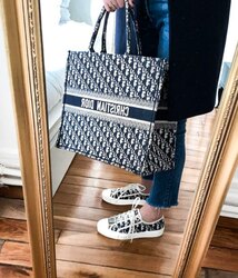 Walk n dior sneakers