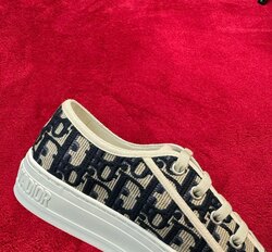 Walk n dior sneakers