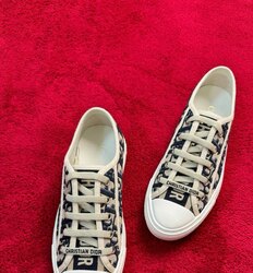 Walk n dior sneakers