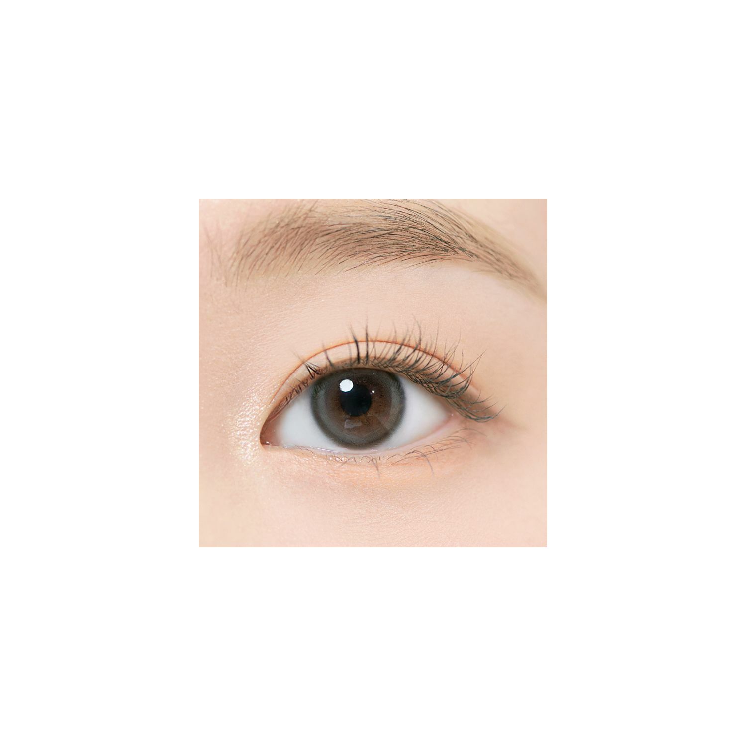 EYEIS ESSENTIAL GRAY