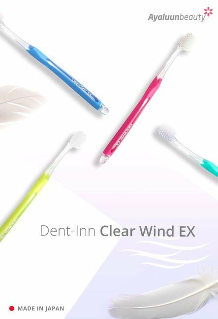 Шүдний сойз-dent inn clear wind