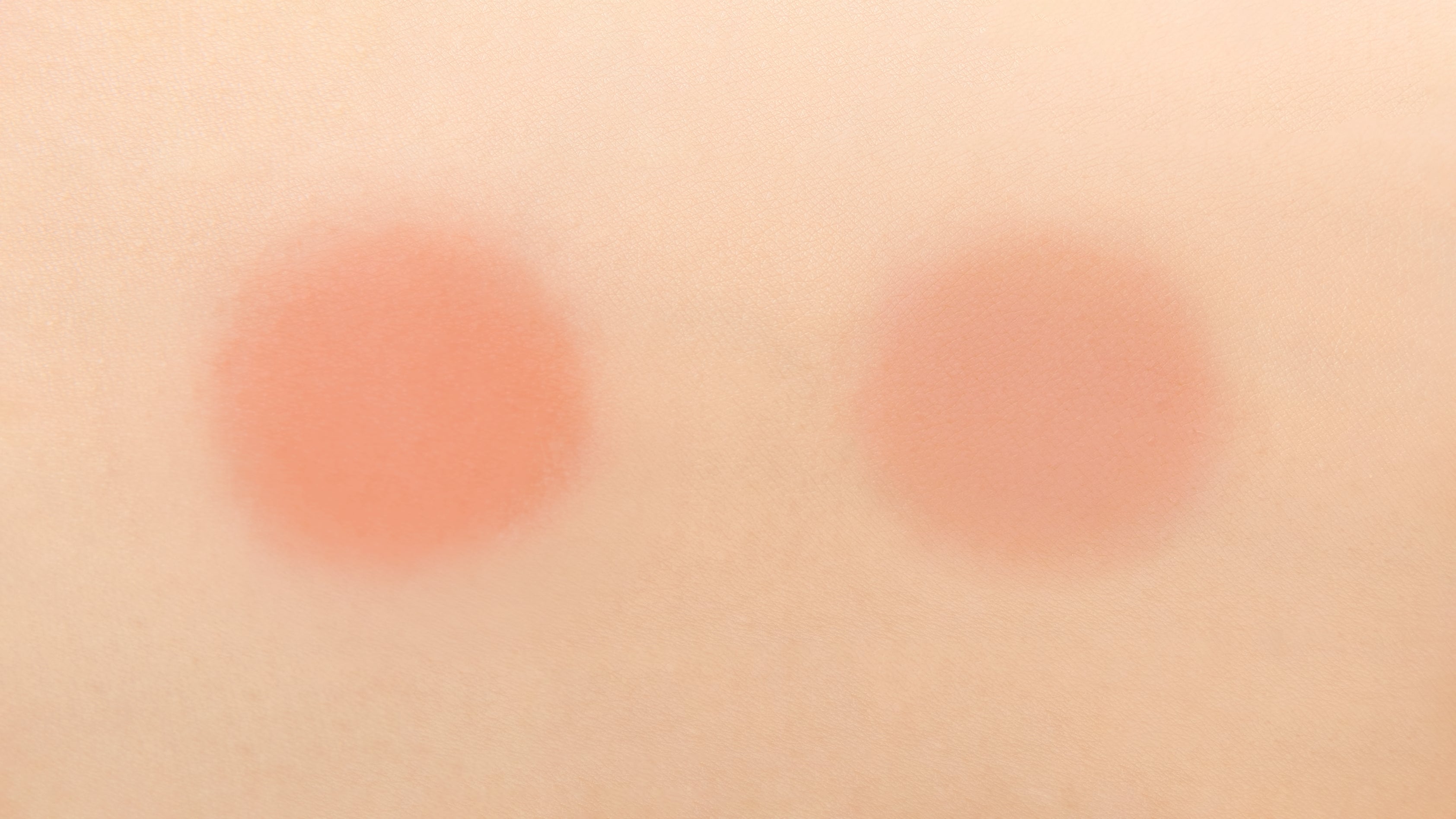 BY FLOWER BLUSHER 13 PRAHA DAHLIA