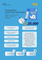 Солонгос ашигтай бактерууд