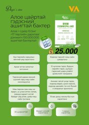 Солонгос ашигтай бактерууд