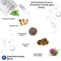 Хөрсний бактер