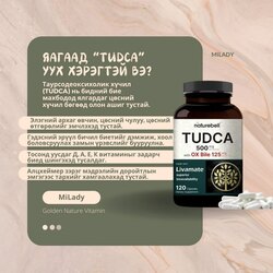 Тудка tudca