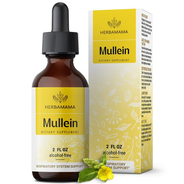 Shingen mullein 