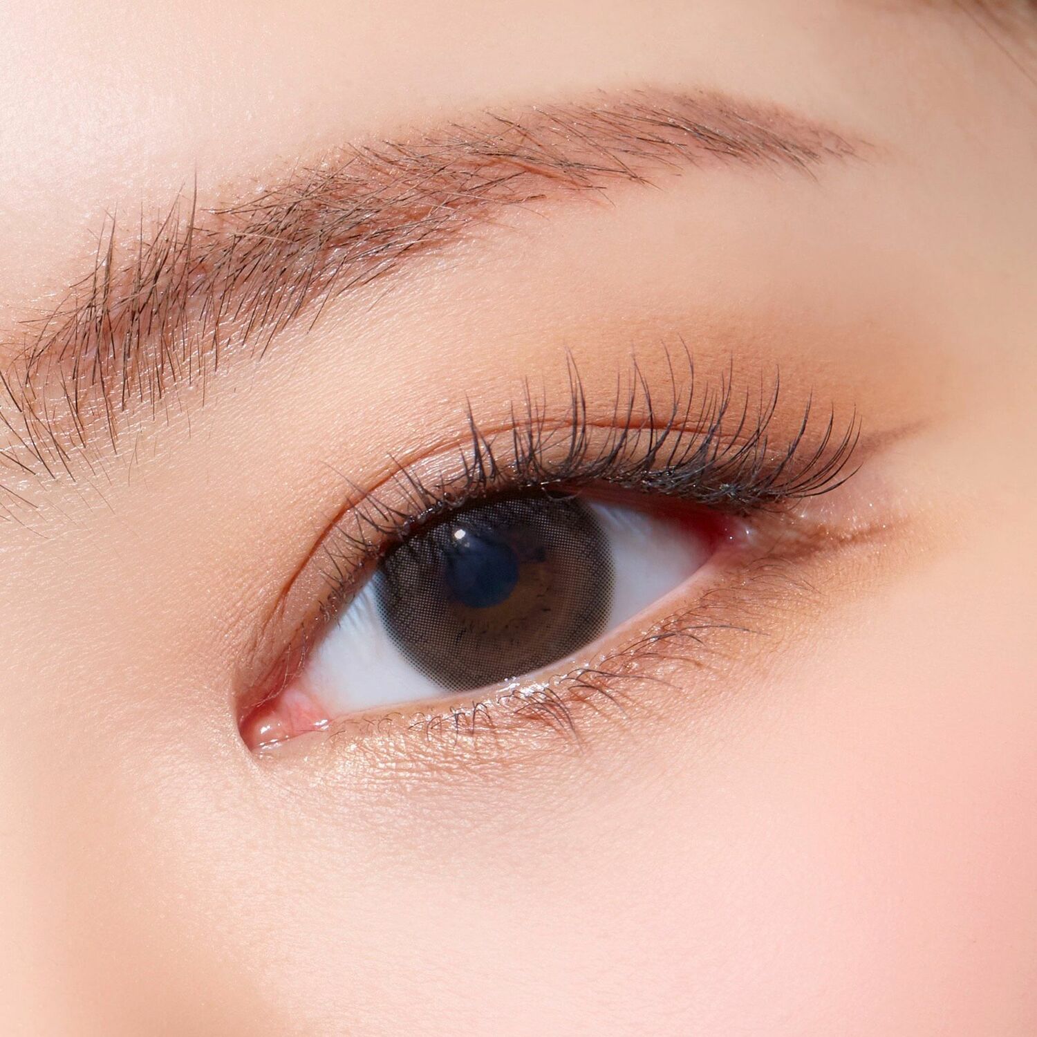 MAKE LOOK FREENY CHOCO