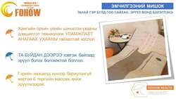 Фохоу эмчилгээний мишок