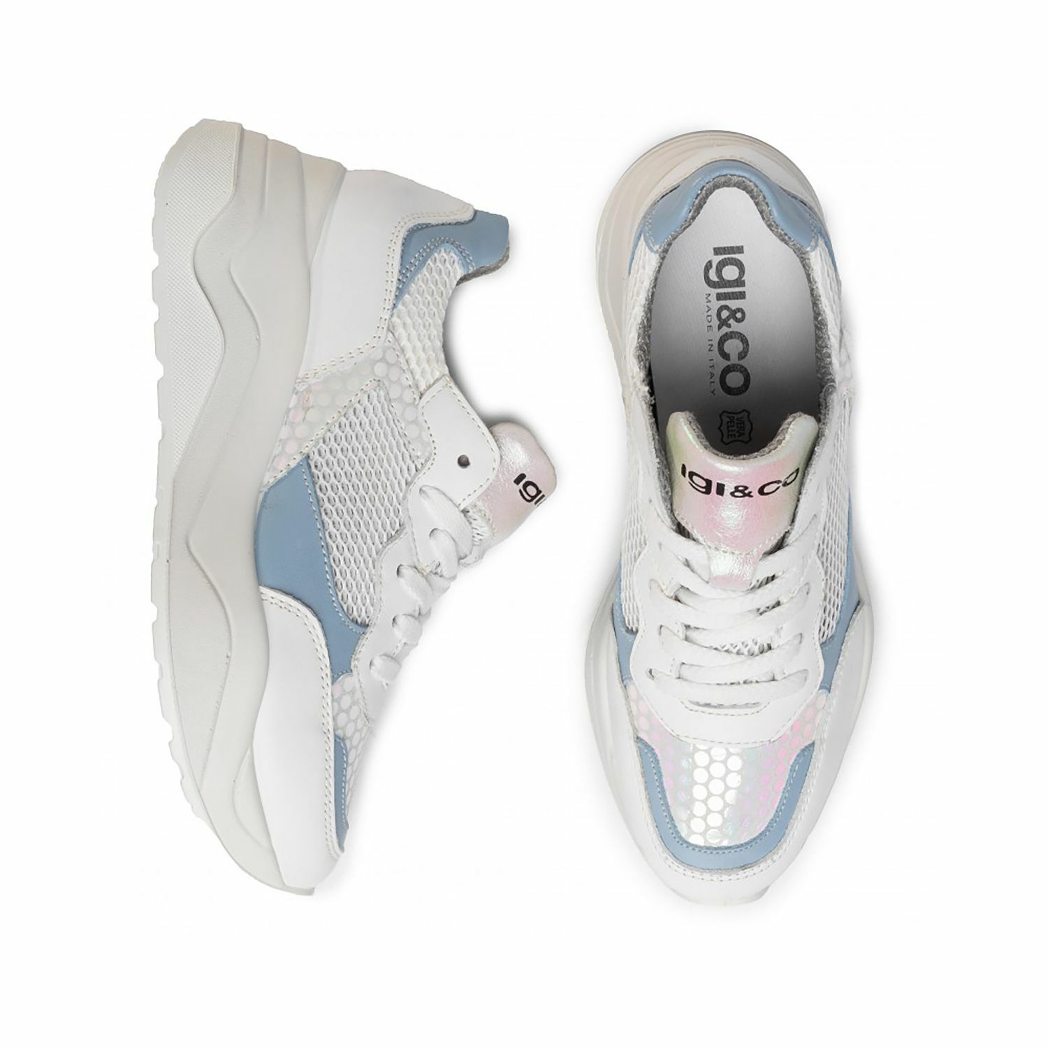 Igi&Co SNEAKERS