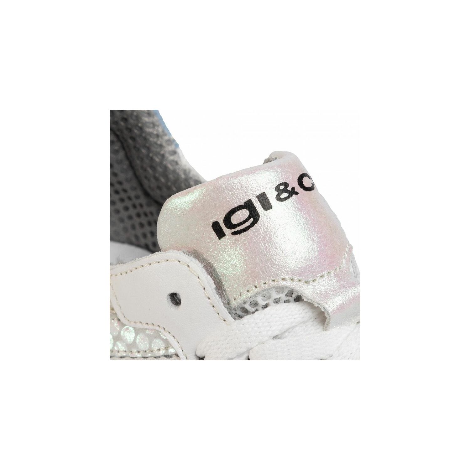 Igi&Co SNEAKERS