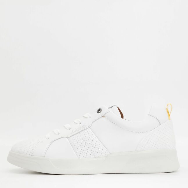 Salamander MEN SNEAKERS