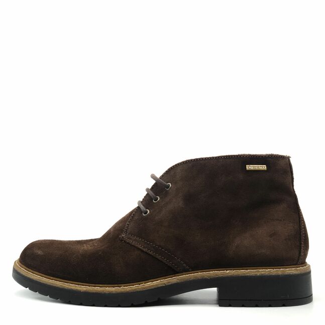 Salamander MEN ANKLE BOOTS