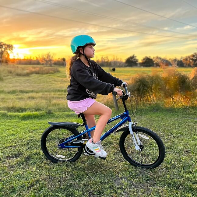 Royalbaby - Freestyle 20 Inch Blue