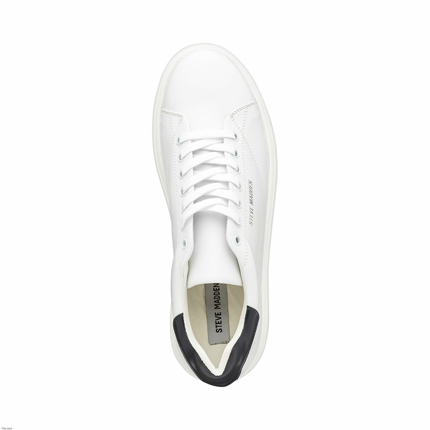 Steve Madden MEN SNEAKERS