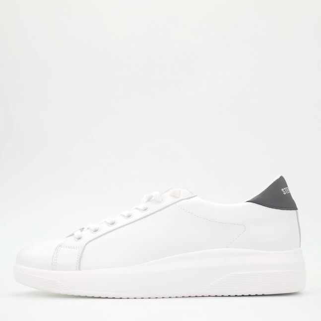 Steve Madden MEN SNEAKERS