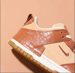 Nike dunk disrupt 2 se