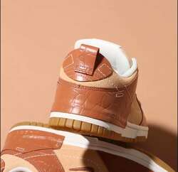 Nike dunk disrupt 2 se