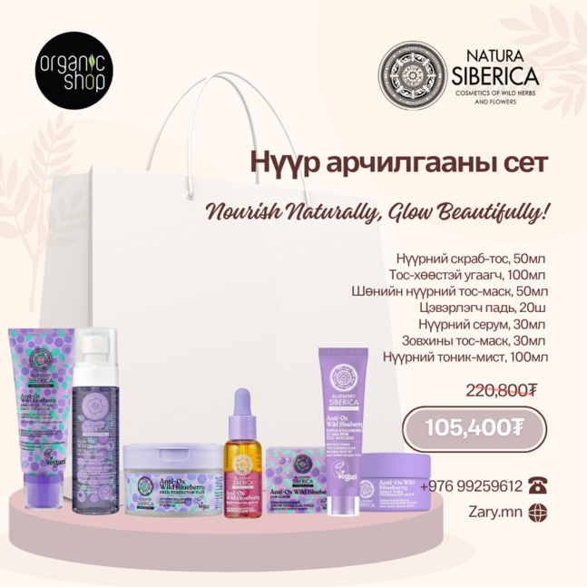 Blueberry арьс арчилгааны сет