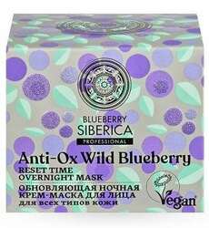 Blueberry арьс арчилгааны сет